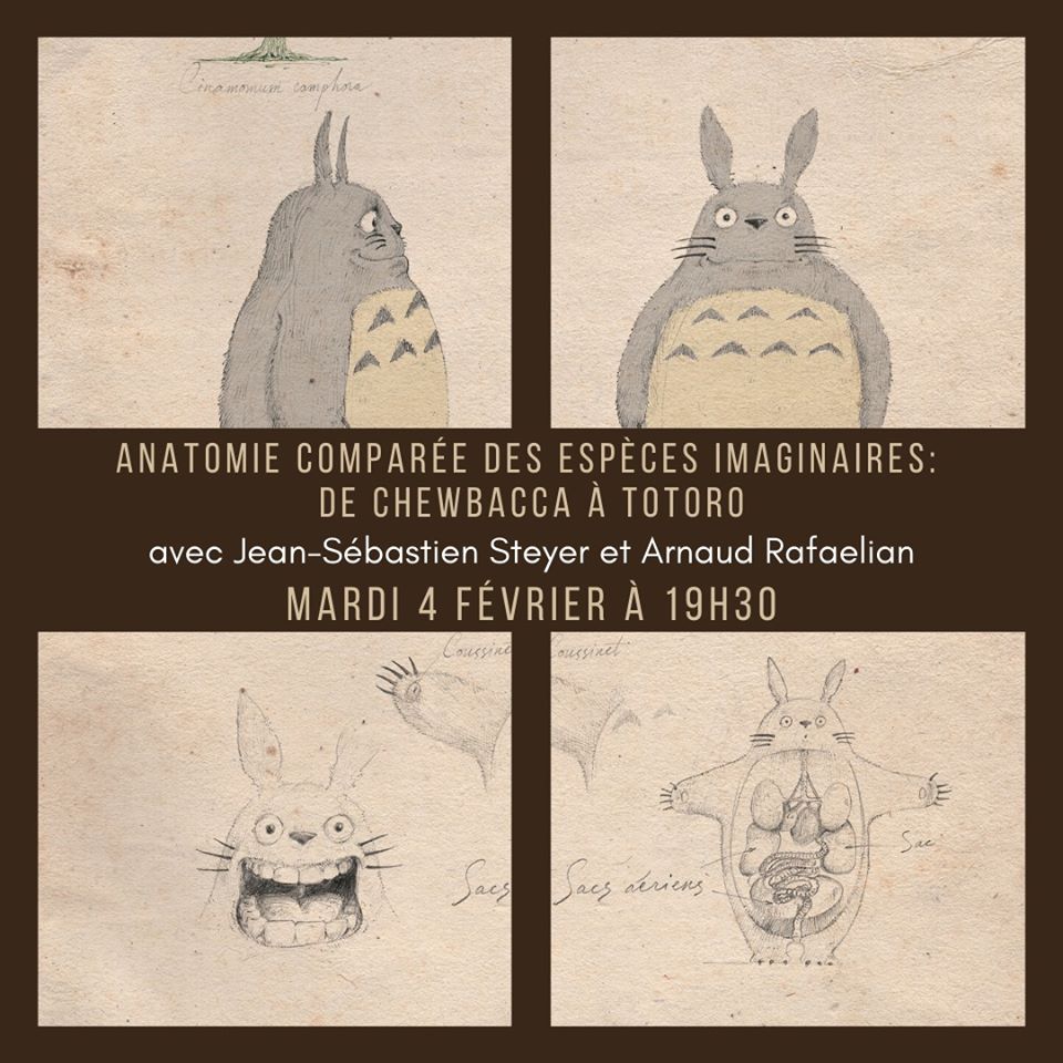 Conférence dessinée : anatomie comparée des espèces imaginaires à Paris